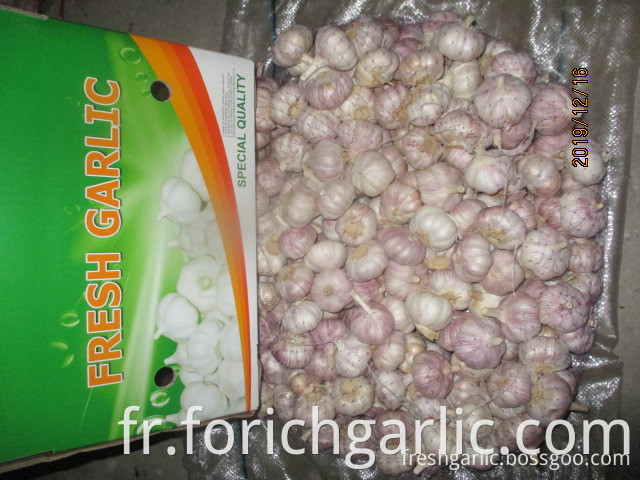 How To Keep Garlic Cloves Fresh